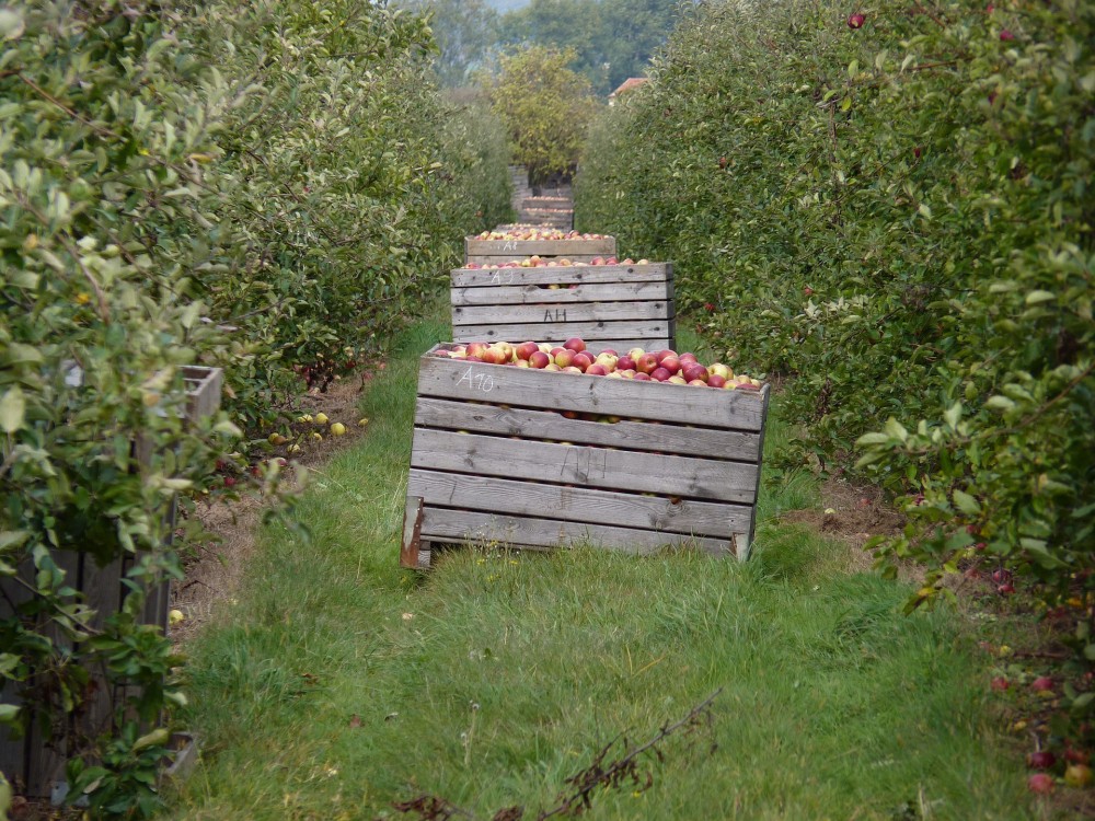 Farmarbeit in Australien